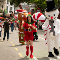 galleries/wellyxmas2018/gallery1/thumbs/th_xmas2018-1045.jpg