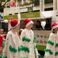 galleries/wellyxmas2018/gallery1/thumbs/th_xmas2018-1073.jpg
