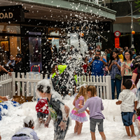 galleries/wellyxmas2018/gallery11/thumbs/th_xmas2018-1001.jpg