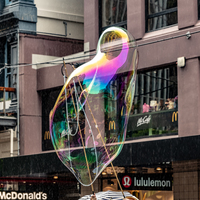 galleries//wellyxmas2018/gallery28/thumbs/th_xmas2018-1017.jpg