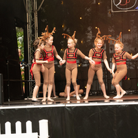 galleries//wellyxmas2018/gallery36/thumbs/th_xmas2018-1083.jpg