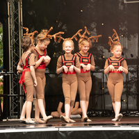 galleries//wellyxmas2018/gallery36/thumbs/th_xmas2018-1091.jpg