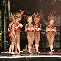 galleries//wellyxmas2018/gallery36/thumbs/th_xmas2018-1092.jpg
