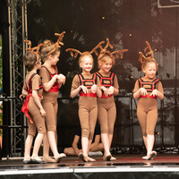 galleries//wellyxmas2018/gallery36/thumbs/th_xmas2018-1093.jpg