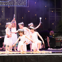 galleries//wellyxmas2018/gallery37/thumbs/th_xmas2018-1030.jpg