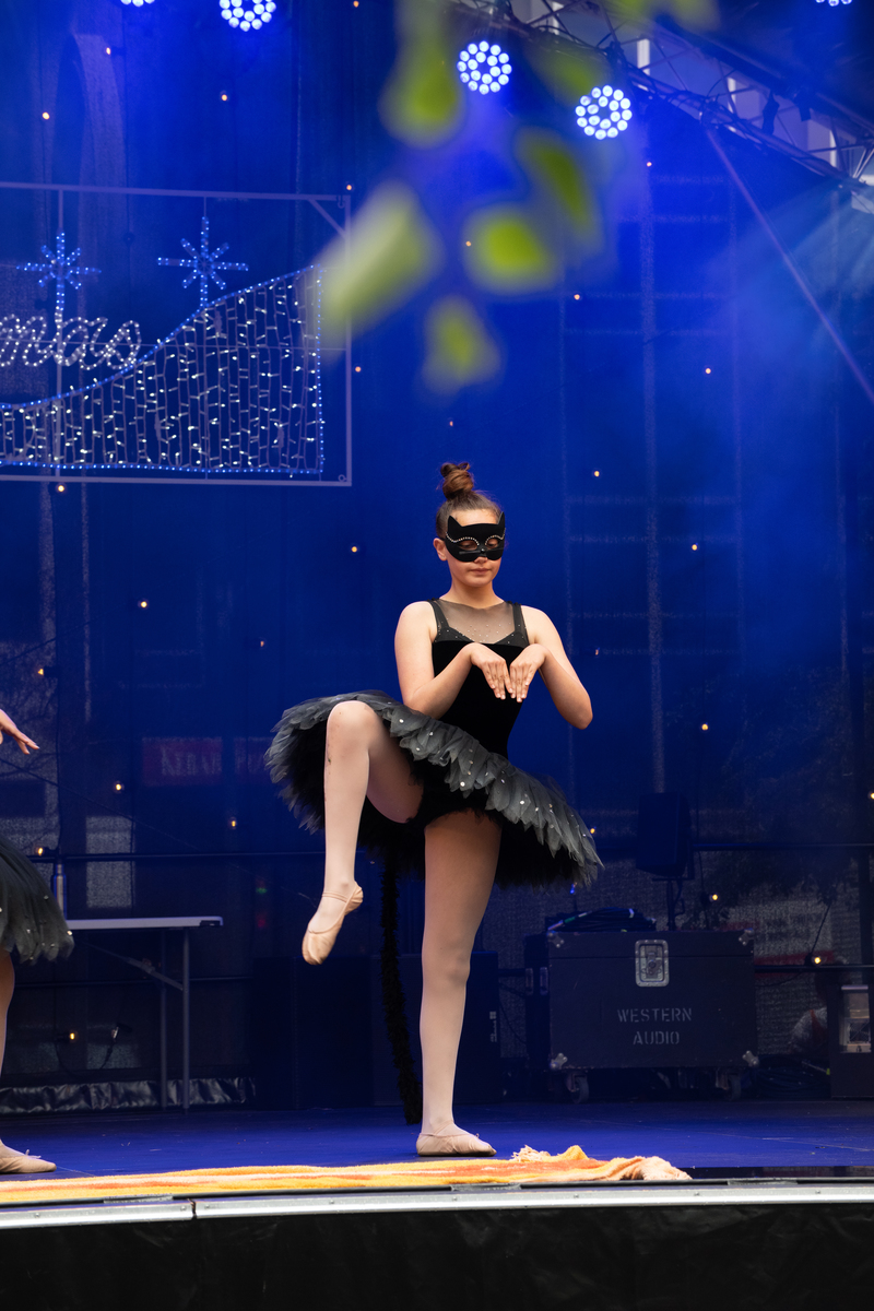 galleries//wellyxmas2018/gallery40/mid/mid_xmas2018-1022.jpg