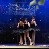 galleries//wellyxmas2018/gallery40/thumbs/th_xmas2018-1012.jpg