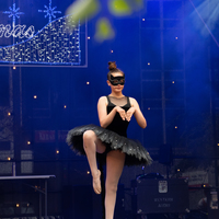 galleries//wellyxmas2018/gallery40/thumbs/th_xmas2018-1021.jpg