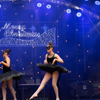 galleries//wellyxmas2018/gallery40/thumbs/th_xmas2018-1027.jpg