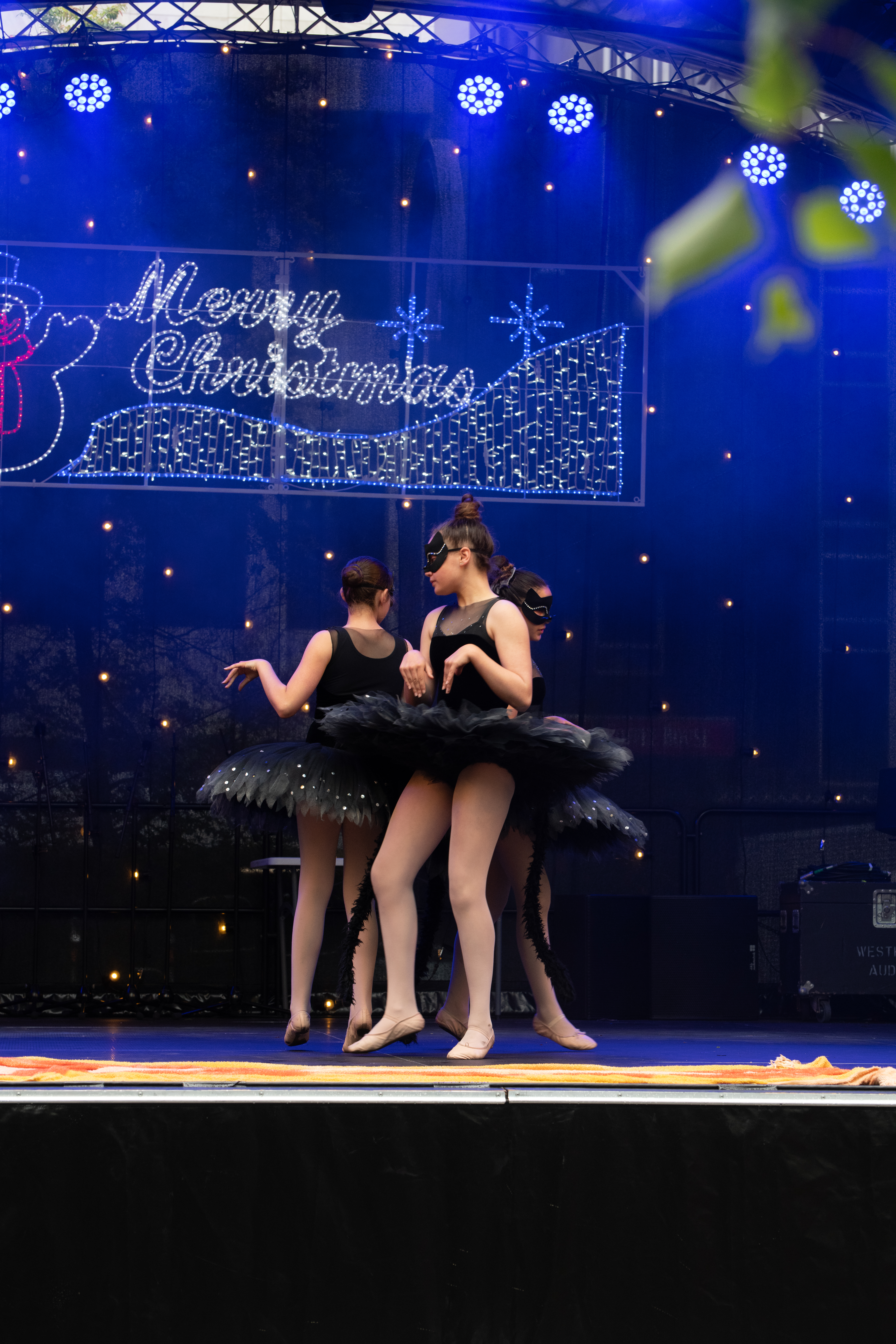 galleries//wellyxmas2018/gallery40/xmas2018-1014.jpg