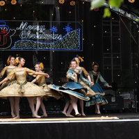 galleries//wellyxmas2018/gallery42/thumbs/th_xmas2018-1056.jpg